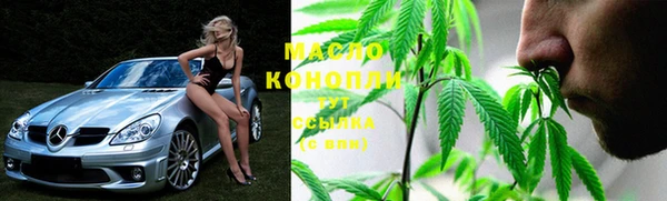 гидра Заводоуковск
