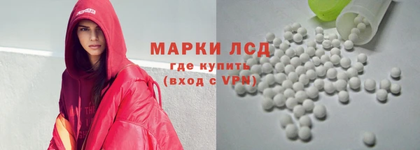гидра Заводоуковск