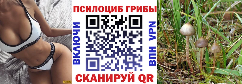 Псилоцибиновые грибы Psilocybine cubensis  Купить  Мантурово 